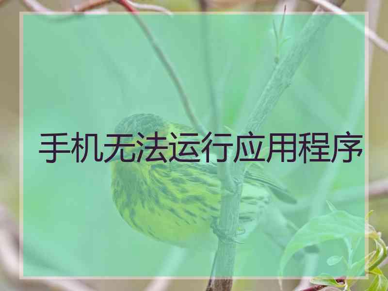 手机无法运行应用程序