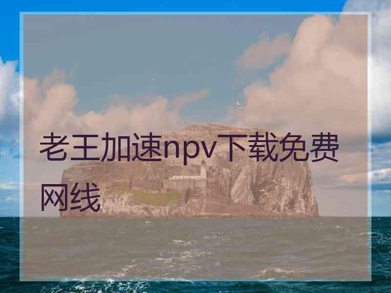 老王加速npv下载免费网线