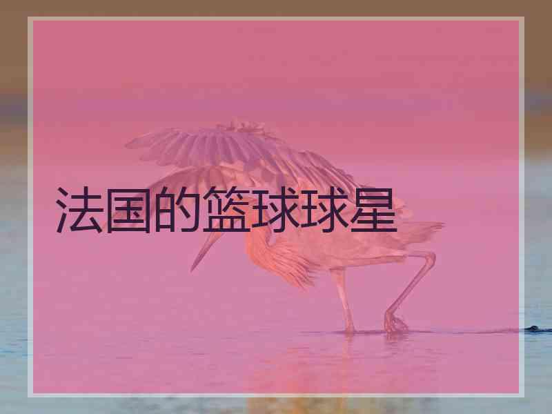 法国的篮球球星