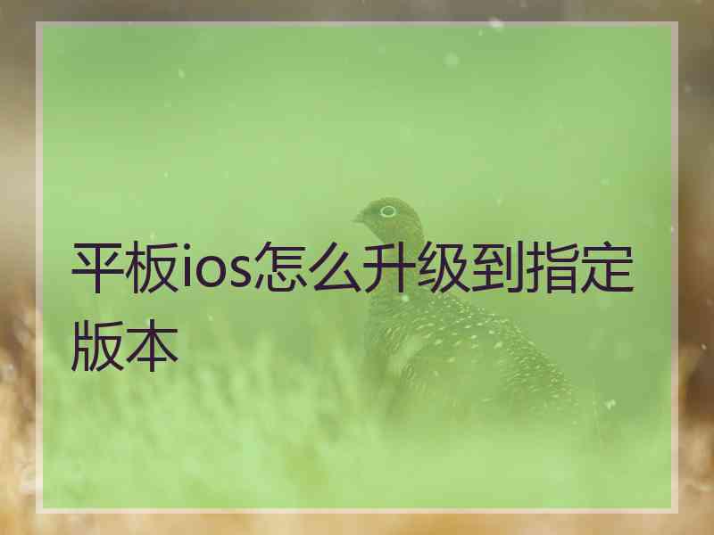 平板ios怎么升级到指定版本