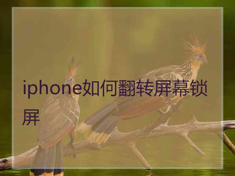 iphone如何翻转屏幕锁屏