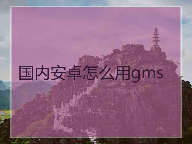 国内安卓怎么用gms