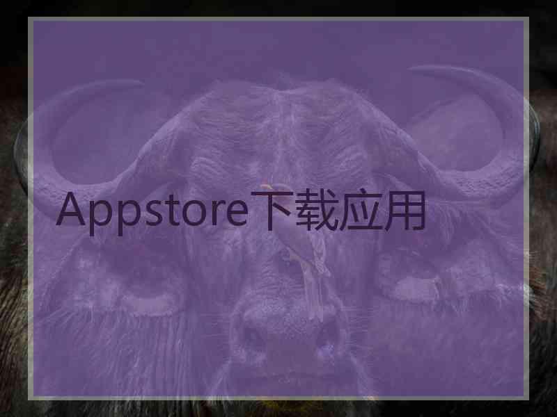 Appstore下载应用