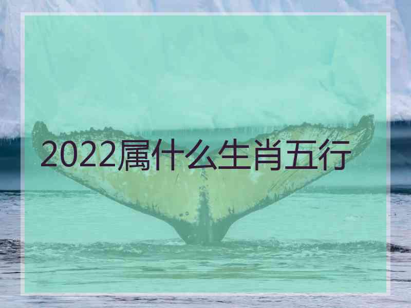 2022属什么生肖五行