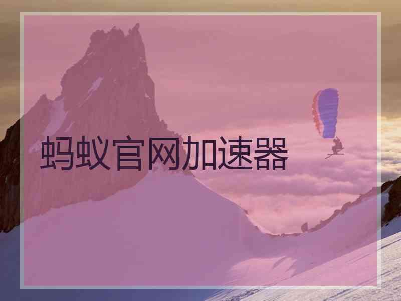 蚂蚁官网加速器