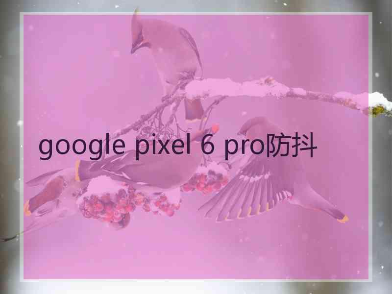 google pixel 6 pro防抖
