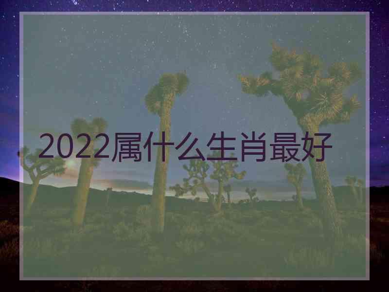 2022属什么生肖最好