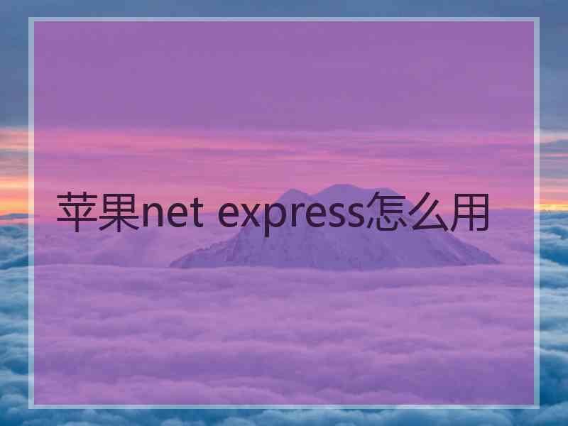 苹果net express怎么用