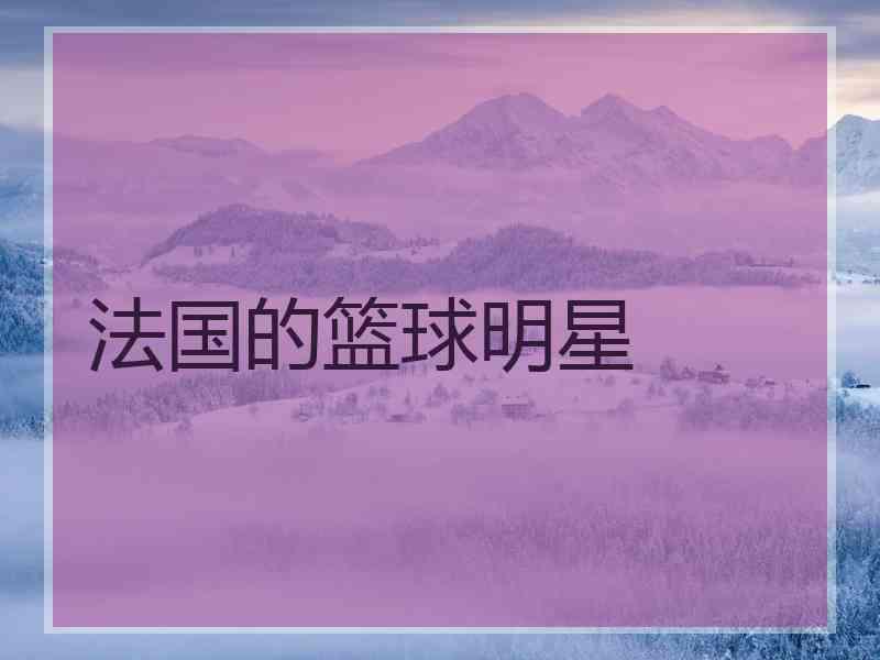 法国的篮球明星