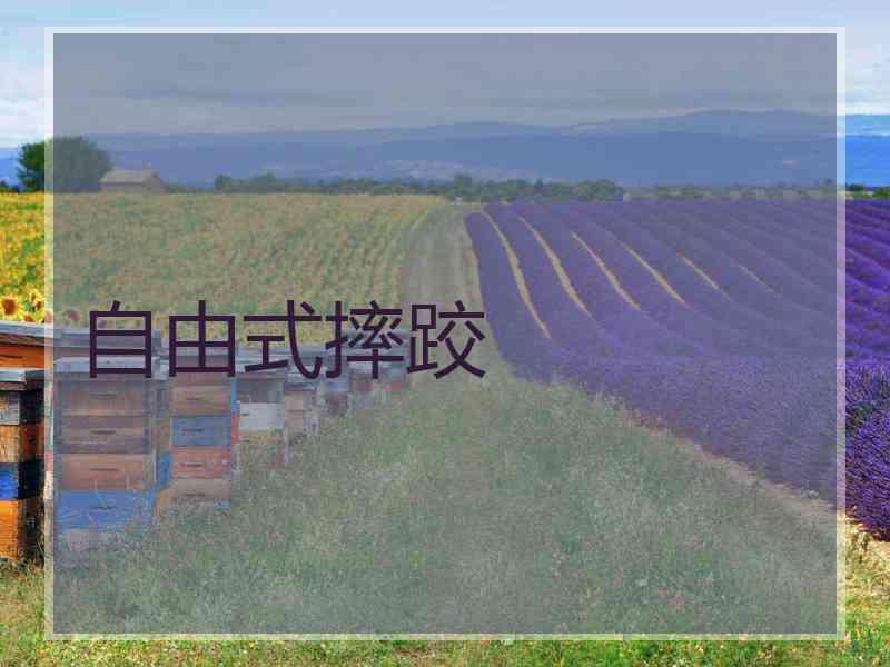 自由式摔跤
