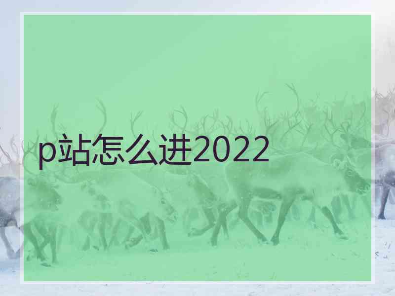 p站怎么进2022