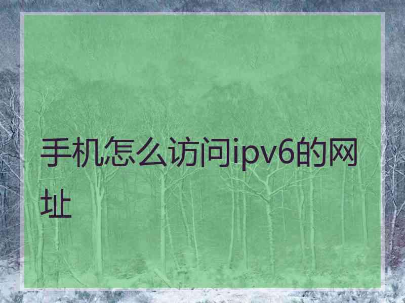 手机怎么访问ipv6的网址