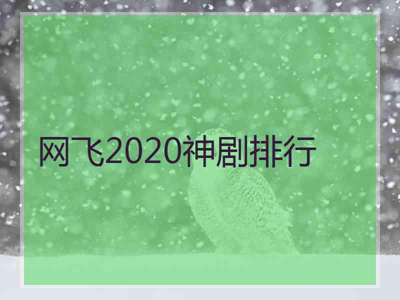 网飞2020神剧排行