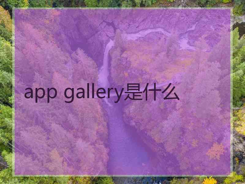app gallery是什么