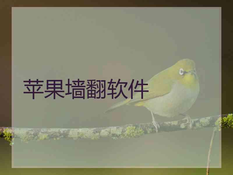 苹果墙翻软件