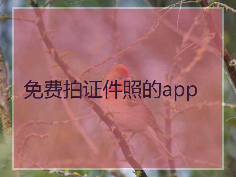 免费拍证件照的app