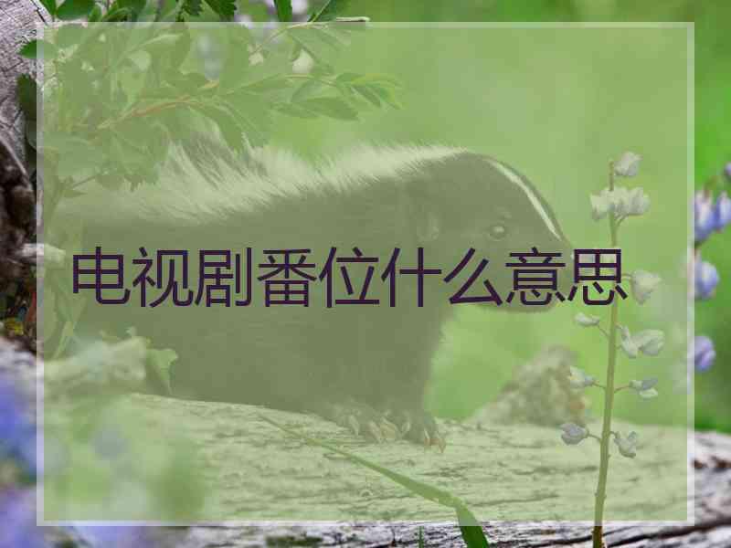 电视剧番位什么意思