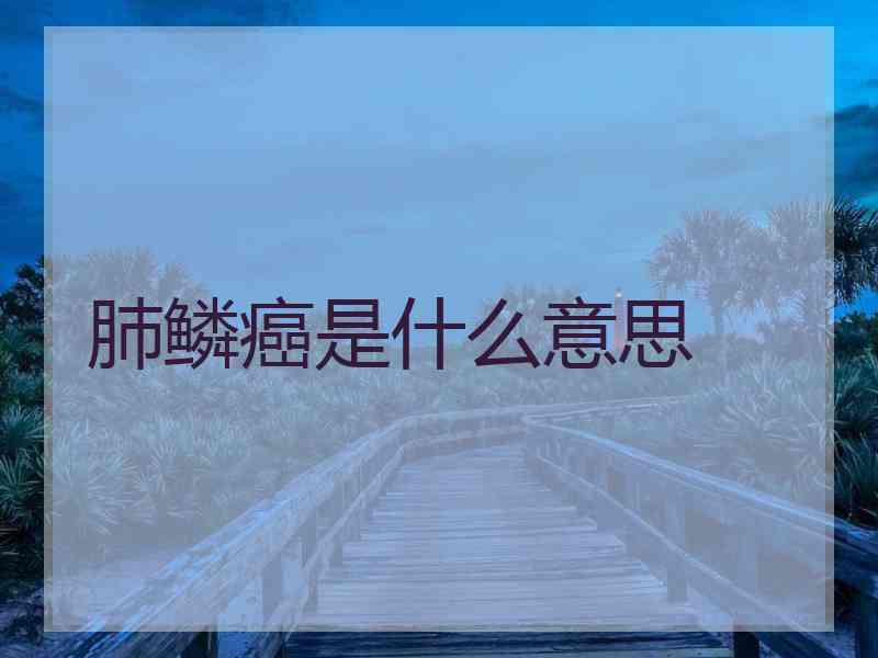 肺鳞癌是什么意思