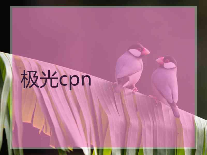 极光cpn