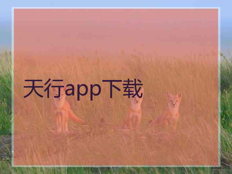 天行app下载