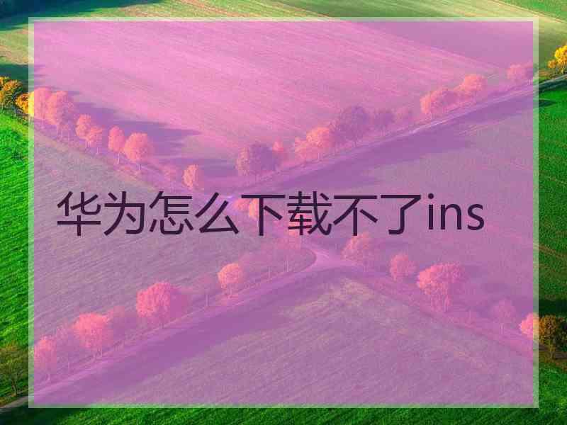 华为怎么下载不了ins