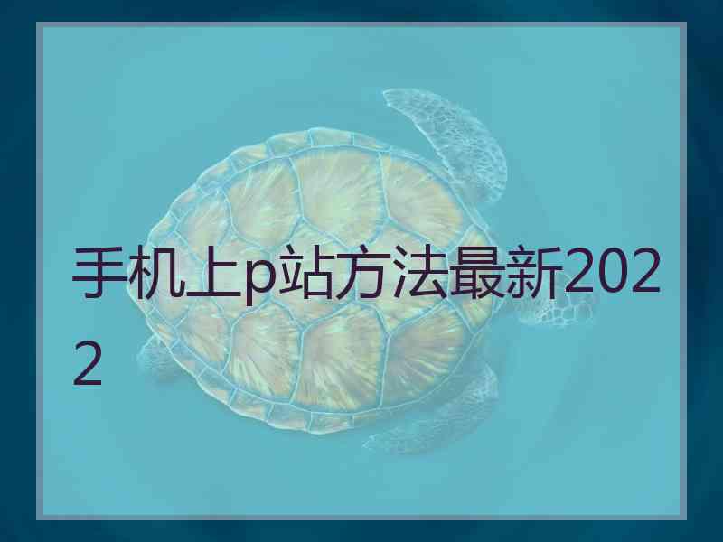 手机上p站方法最新2022