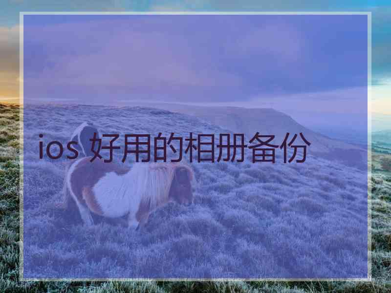 ios 好用的相册备份