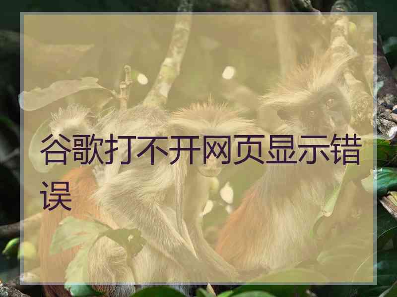 谷歌打不开网页显示错误