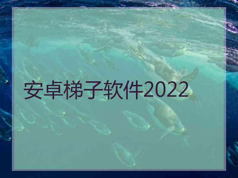 安卓梯子软件2022