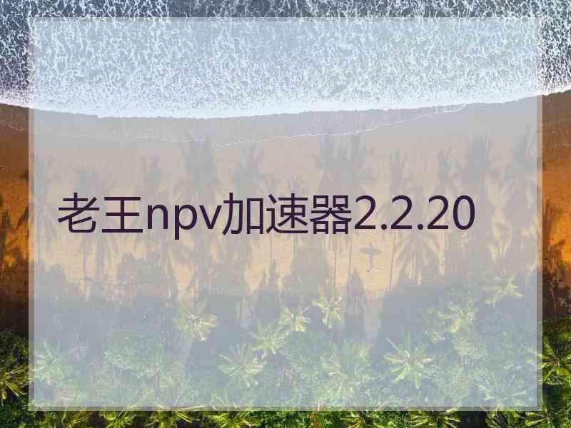 老王npv加速器2.2.20