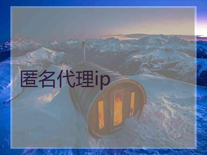 匿名代理ip