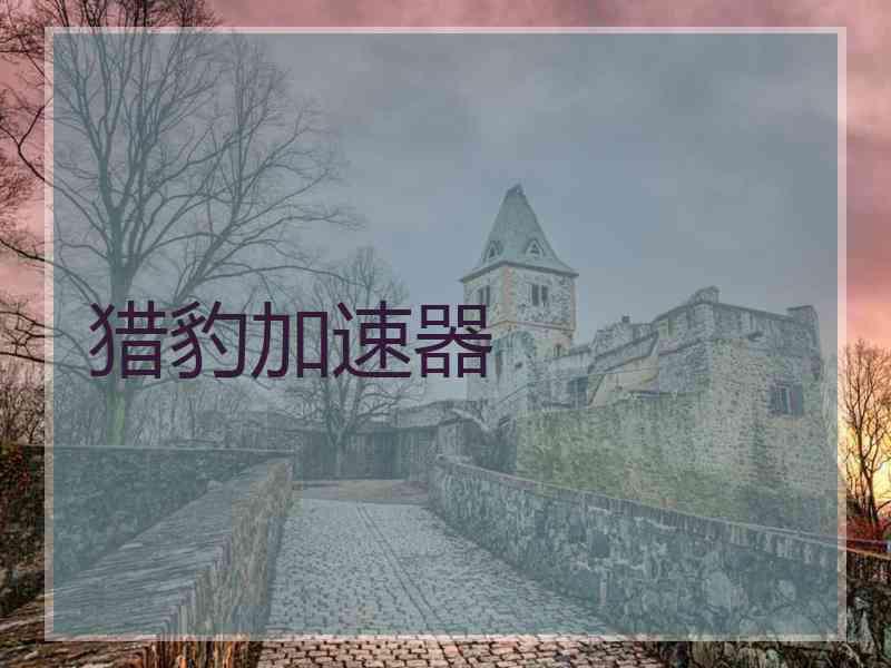 猎豹加速器