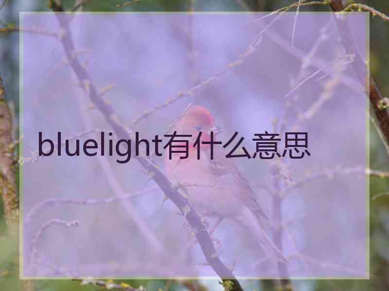 bluelight有什么意思