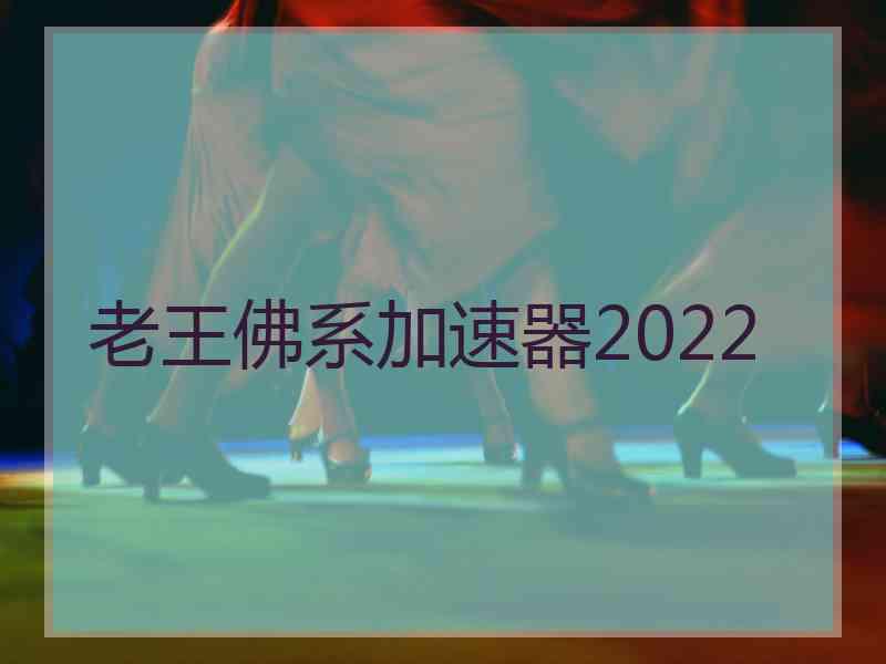 老王佛系加速器2022