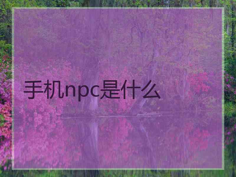 手机npc是什么