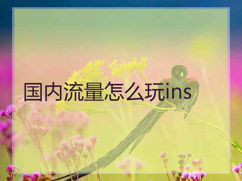 国内流量怎么玩ins