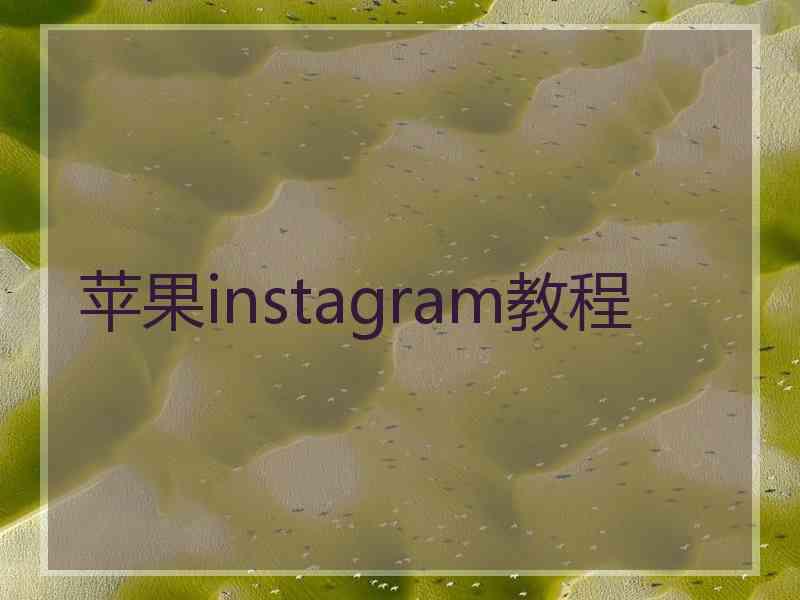 苹果instagram教程