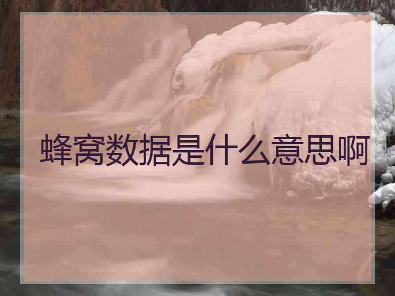 蜂窝数据是什么意思啊