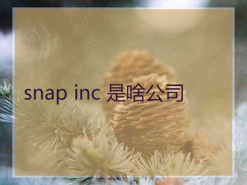 snap inc 是啥公司