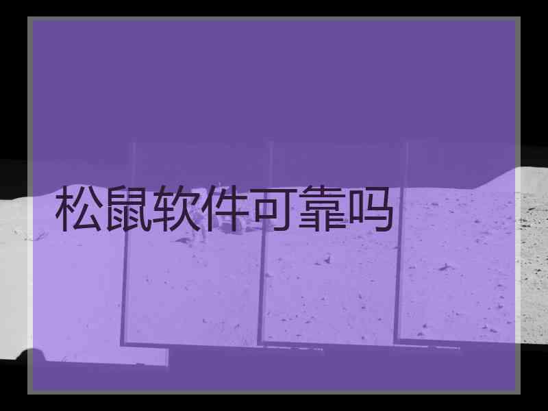 松鼠软件可靠吗