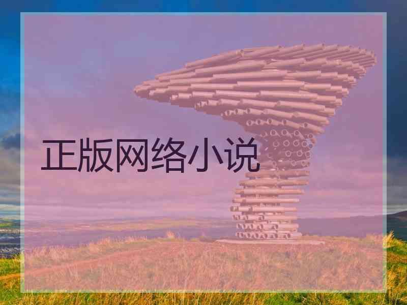 正版网络小说