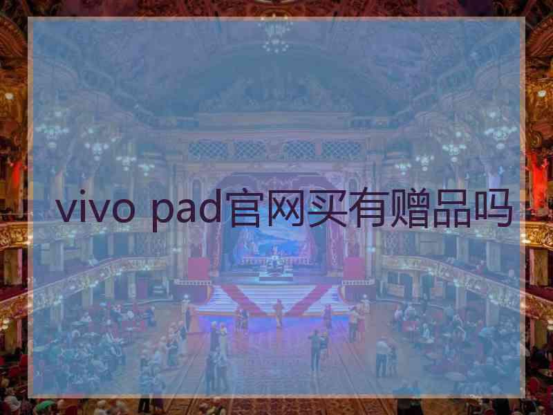vivo pad官网买有赠品吗
