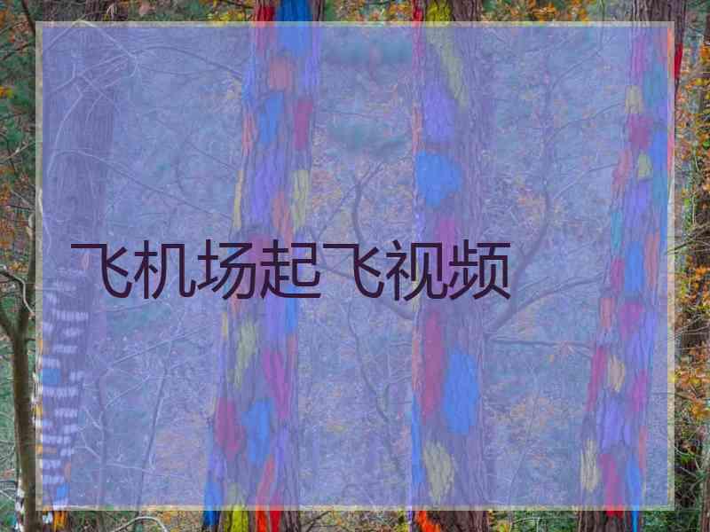 飞机场起飞视频