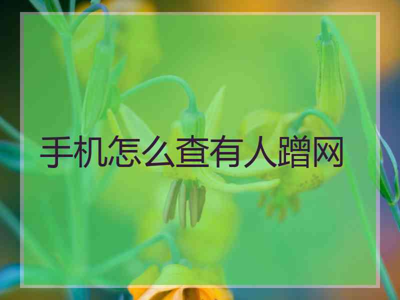 手机怎么查有人蹭网