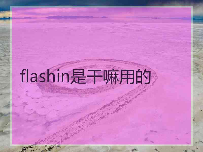 flashin是干嘛用的