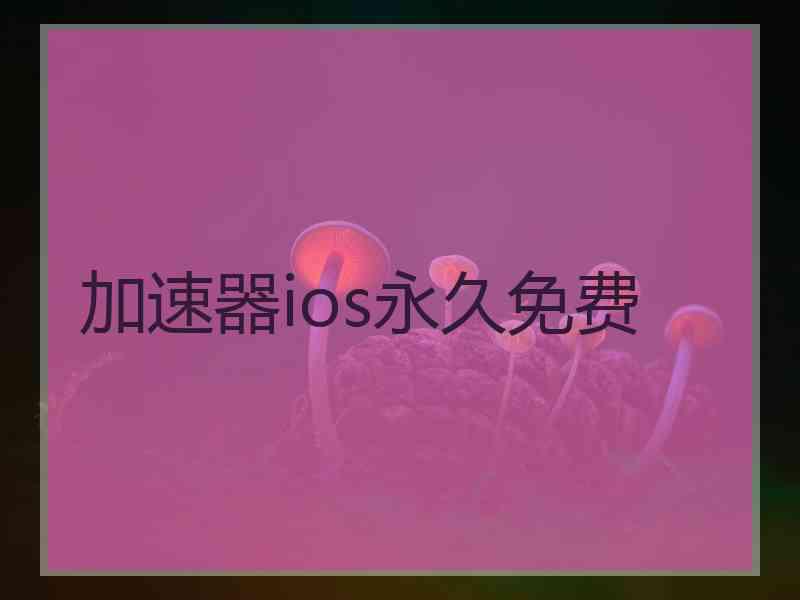 加速器ios永久免费